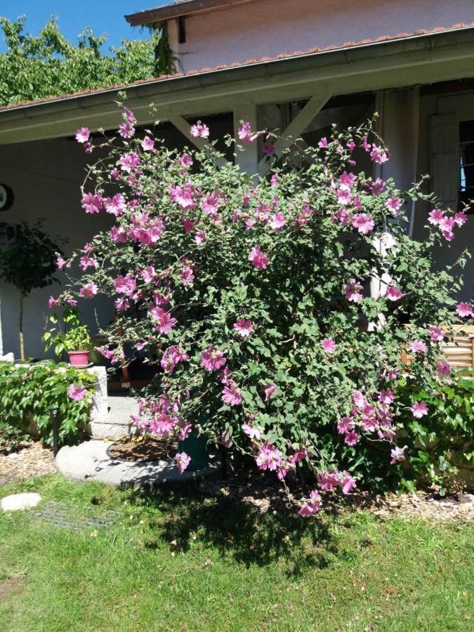 Les Eygletieres Bed and Breakfast Bourriot-Bergonce Buitenkant foto