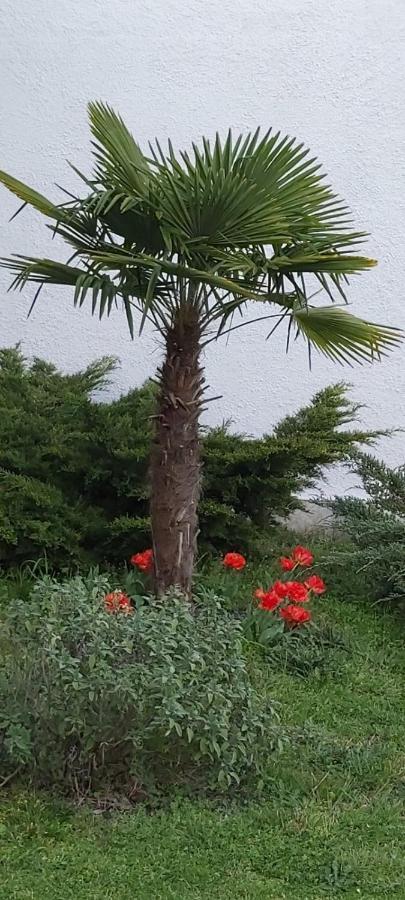 Les Eygletieres Bed and Breakfast Bourriot-Bergonce Buitenkant foto