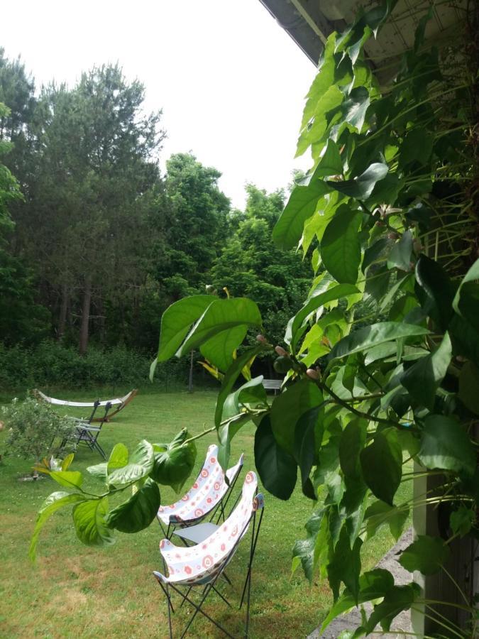 Les Eygletieres Bed and Breakfast Bourriot-Bergonce Buitenkant foto